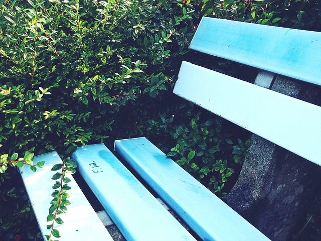 甲府風林 甲府風林