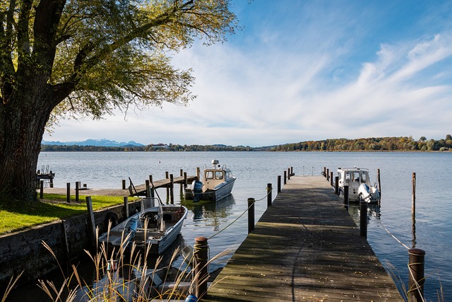 赛的出色表 赛的出色表